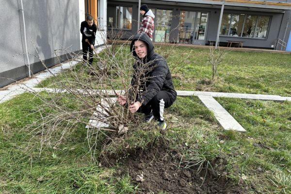 Příprava záhonů na jaro