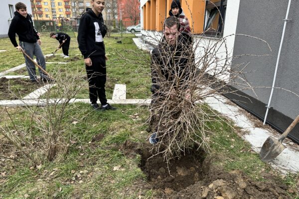 Příprava záhonů na jaro